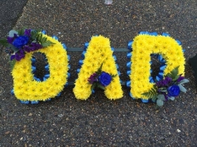 Yellow DAD frame